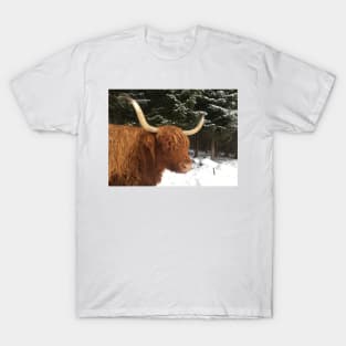 Scottish Highland Cattle Cow 2189 T-Shirt